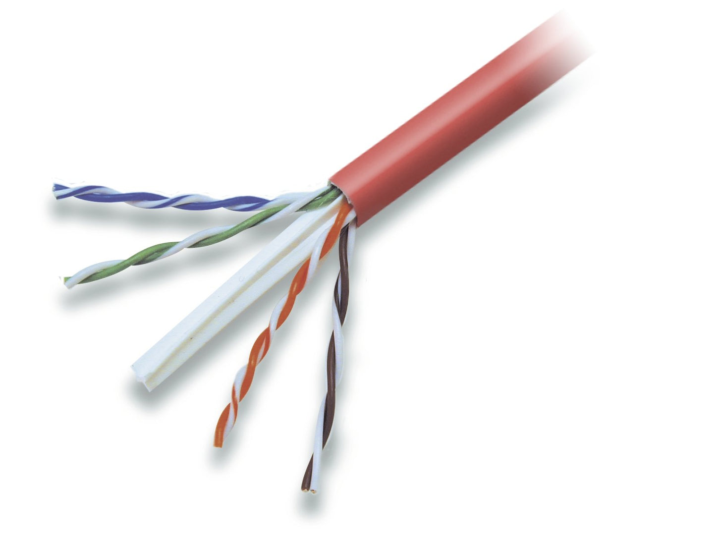 Belkin CAT6 1000-Foot Solid Bulk Cable (Red)